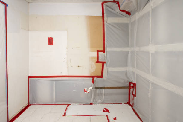 Trusted Pond Creek, OK Mold Removal Experts