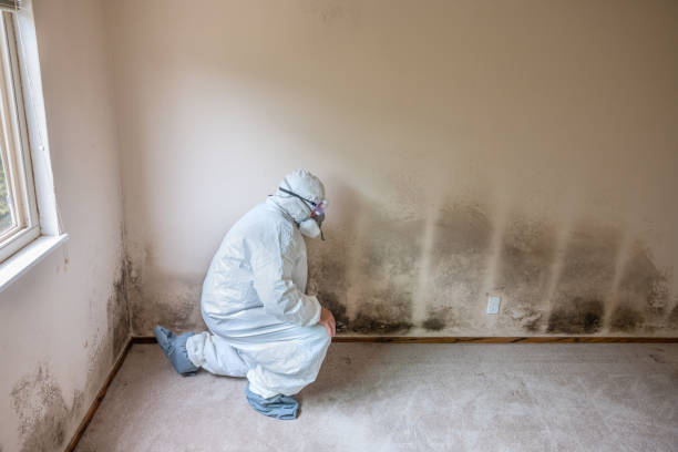 Best Crawl Space Mold Remediation  in Pond Creek, OK